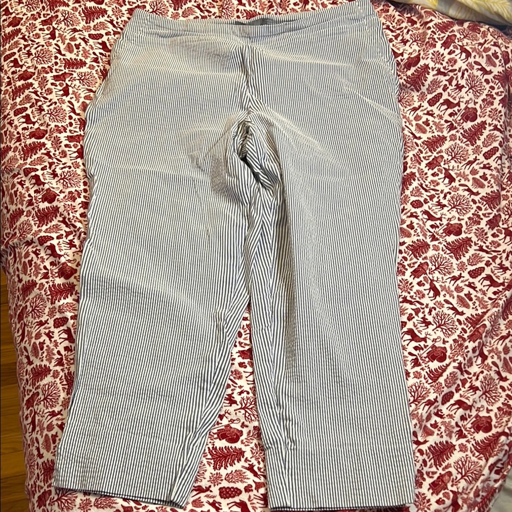 Dalia Blue and White Striped Cropped Pants size 16W